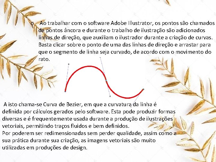 o Ao trabalhar com o software Adobe Illustrator, os pontos são chamados de pontos