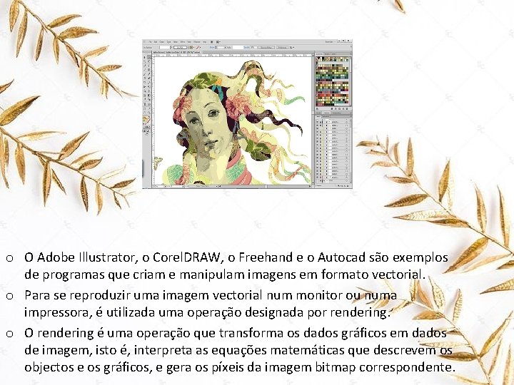 o O Adobe Illustrator, o Corel. DRAW, o Freehand e o Autocad são exemplos