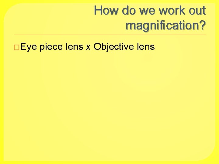 How do we work out magnification? �Eye piece lens x Objective lens 