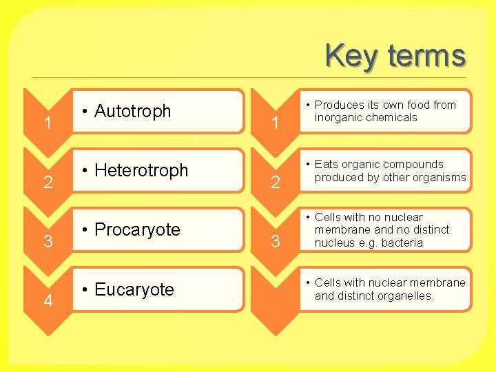 Key terms 1 2 3 4 • Autotroph • Heterotroph • Procaryote • Eucaryote