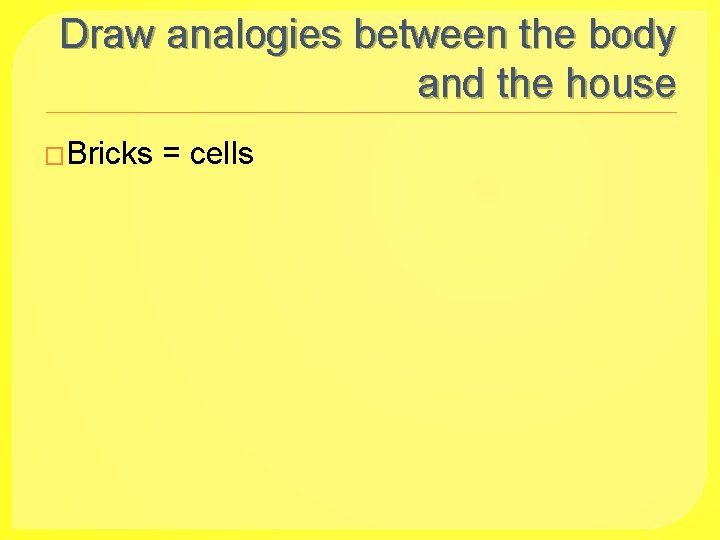 Draw analogies between the body and the house �Bricks = cells 