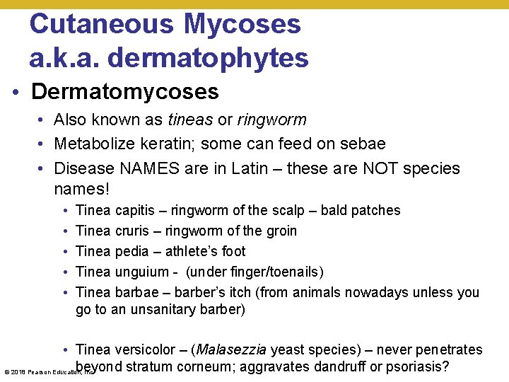 Cutaneous Mycoses a. k. a. dermatophytes • Dermatomycoses • Also known as tineas or