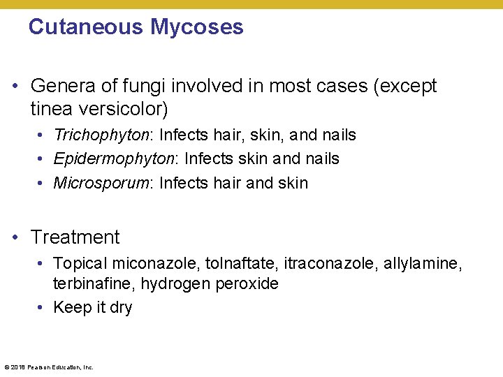 Cutaneous Mycoses • Genera of fungi involved in most cases (except tinea versicolor) •