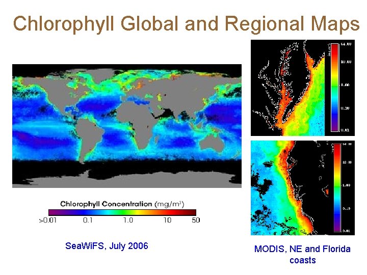Chlorophyll Global and Regional Maps Sea. Wi. FS, July 2006 MODIS, NE and Florida