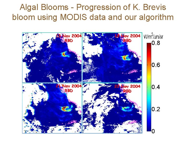 Algal Blooms - Progression of K. Brevis bloom using MODIS data and our algorithm