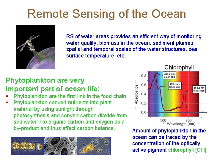 Remote Sensing of the Ocean RS of water areas provides an efficient way of