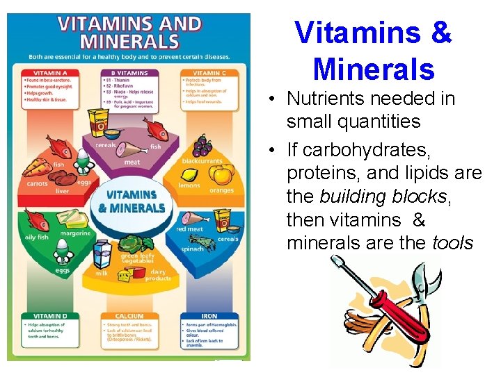 Vitamins & Minerals • Nutrients needed in small quantities • If carbohydrates, proteins, and