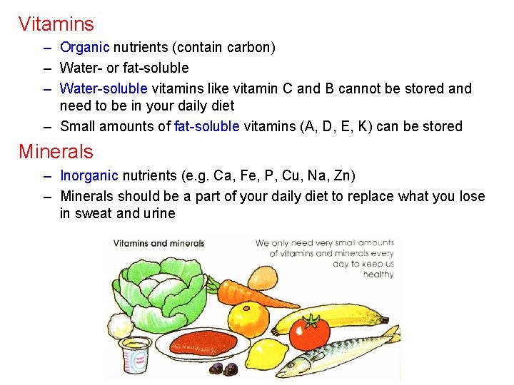 Vitamins – Organic nutrients (contain carbon) – Water- or fat-soluble – Water-soluble vitamins like