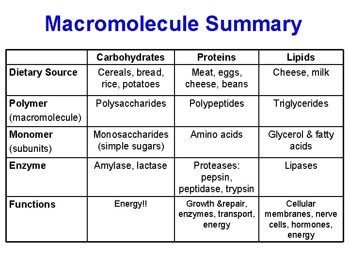 Macromolecule Summary Carbohydrates Proteins Lipids Dietary Source Cereals, bread, rice, potatoes Meat, eggs, cheese,