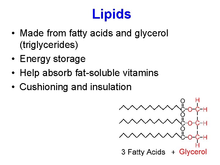 Lipids • Made from fatty acids and glycerol (triglycerides) • Energy storage • Help