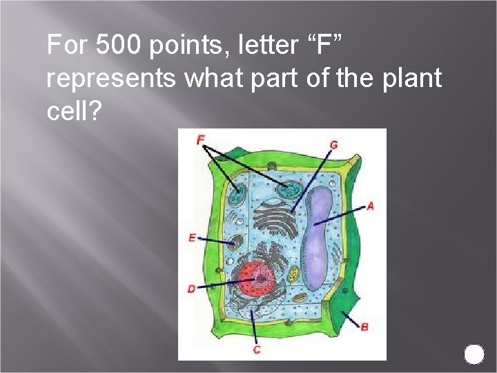 For 500 points, letter “F” represents what part of the plant cell? 