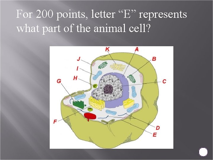 For 200 points, letter “E” represents what part of the animal cell? 