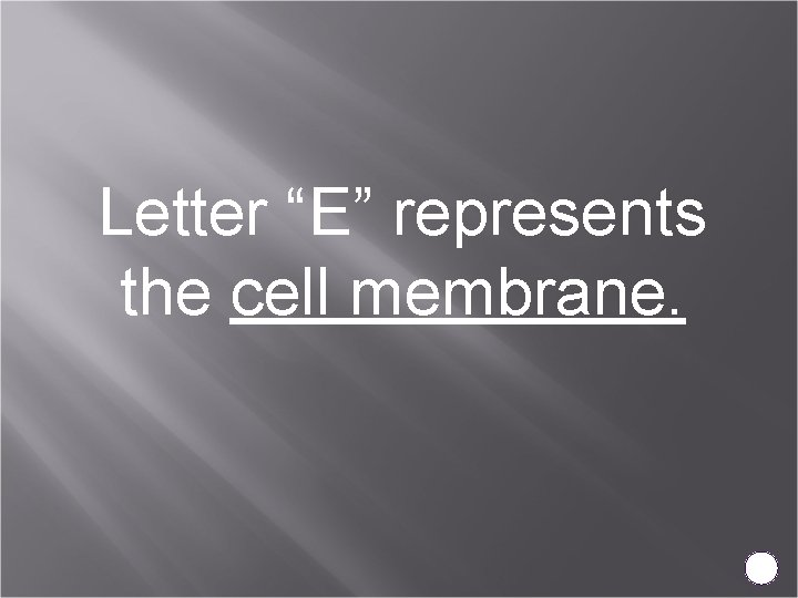 Letter “E” represents the cell membrane. 