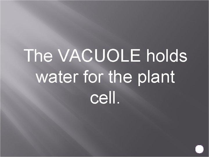 The VACUOLE holds water for the plant cell. 