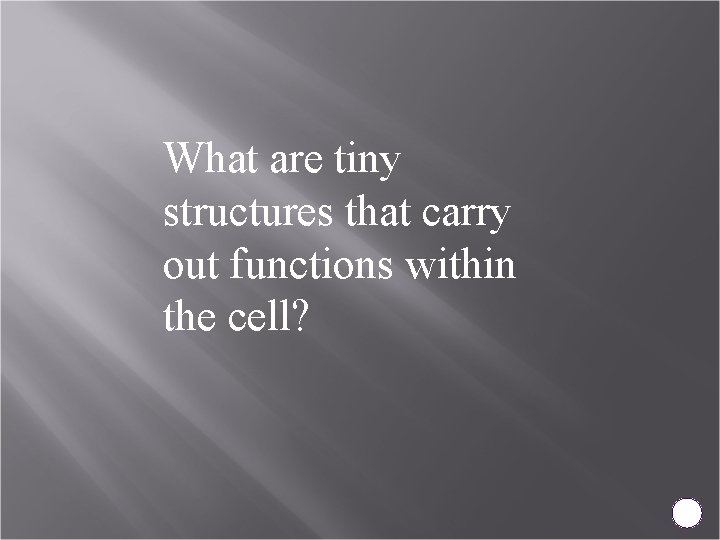 What are tiny structures that carry out functions within the cell? 