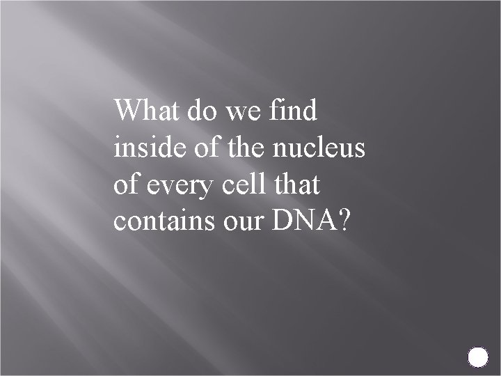 What do we find inside of the nucleus of every cell that contains our