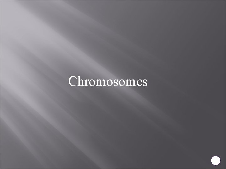 Chromosomes 