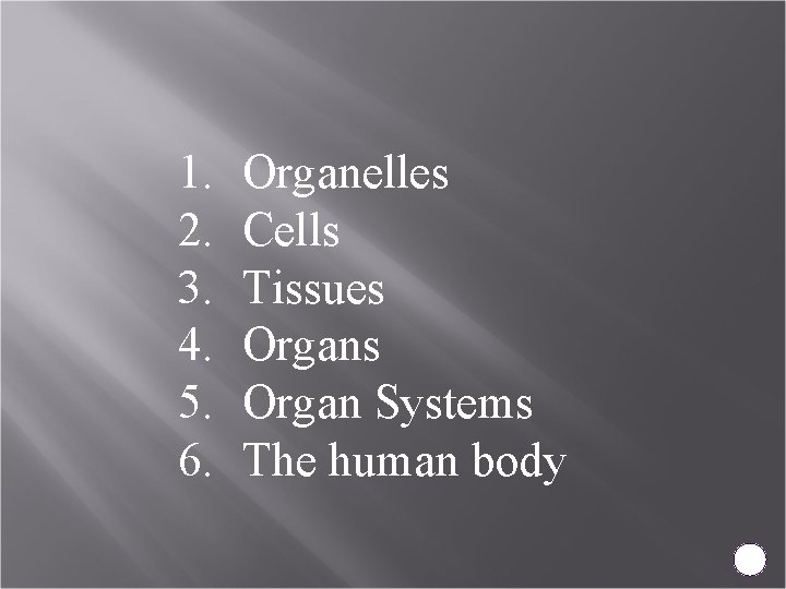 1. 2. 3. 4. 5. 6. Organelles Cells Tissues Organ Systems The human body