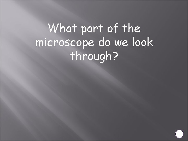 What part of the microscope do we look through? 