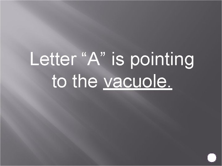 Letter “A” is pointing to the vacuole. 