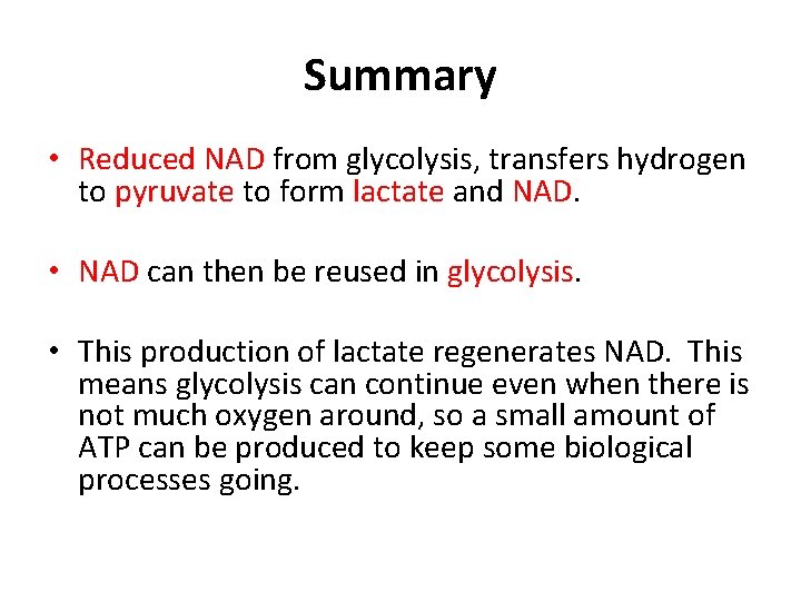 Summary • Reduced NAD from glycolysis, transfers hydrogen to pyruvate to form lactate and Summary • Reduced NAD from glycolysis, transfers hydrogen to pyruvate to form lactate and