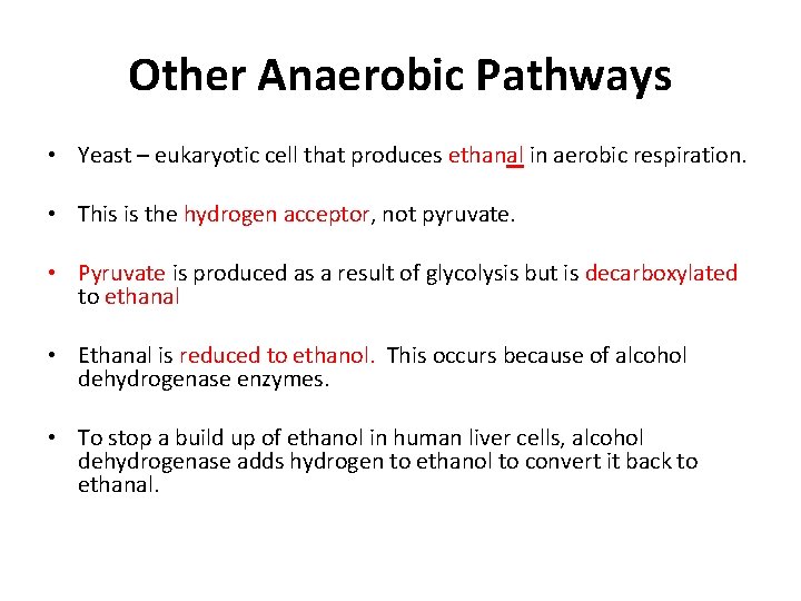 Other Anaerobic Pathways • Yeast – eukaryotic cell that produces ethanal in aerobic respiration.