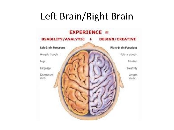 Left Brain/Right Brain 