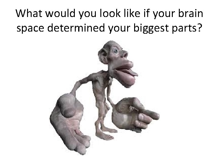 What would you look like if your brain space determined your biggest parts? 