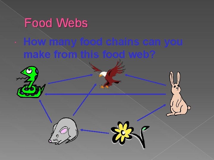 Food Webs How many food chains can you make from this food web? 