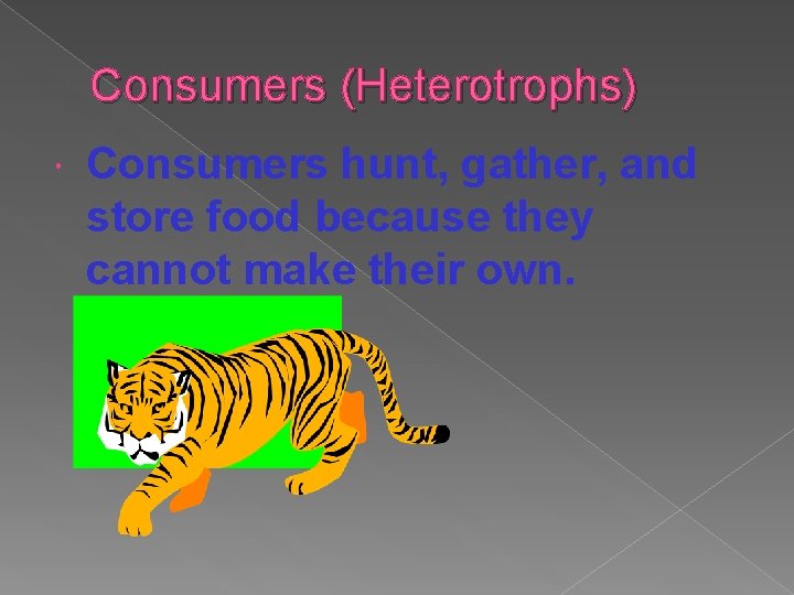 Consumers (Heterotrophs) Consumers hunt, gather, and store food because they cannot make their own.