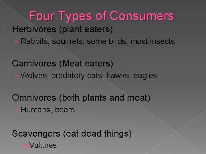 Four Types of Consumers Herbivores (plant eaters) › Rabbits, squirrels, some birds, most insects