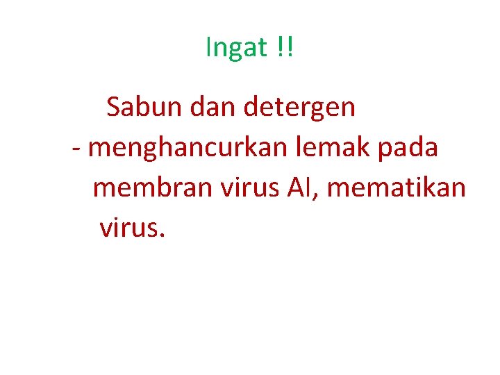 Ingat !! Sabun dan detergen - menghancurkan lemak pada membran virus AI, mematikan virus.