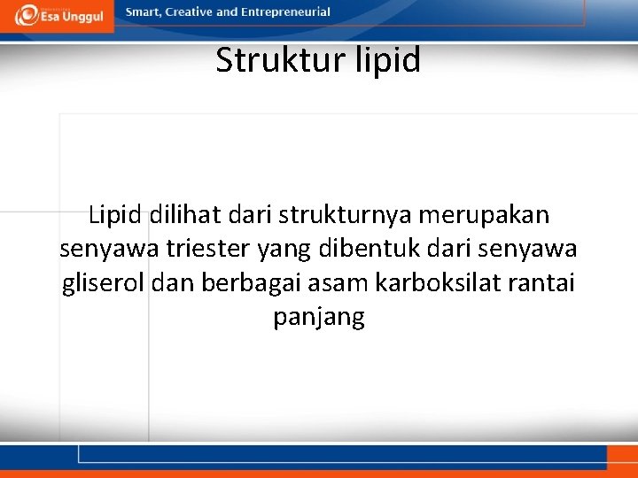 Struktur lipid Lipid dilihat dari strukturnya merupakan senyawa triester yang dibentuk dari senyawa gliserol