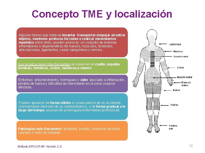 Concepto TME y localización Algunas tareas que implican levantar- transportar-empujar-arrastrar objetos, mantener posturas forzadas