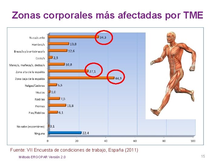 Zonas corporales más afectadas por TME Fuente: VII Encuesta de condiciones de trabajo, España