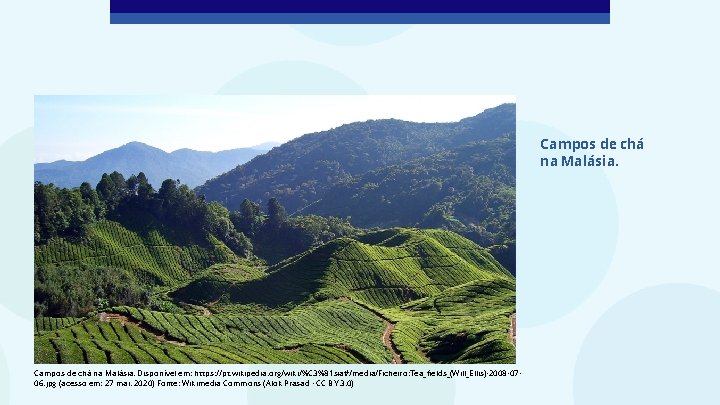Campos de chá na Malásia. Disponível em: https: //pt. wikipedia. org/wiki/%C 3%81 sia#/media/Ficheiro: Tea_fields_(Will_Ellis)-2008