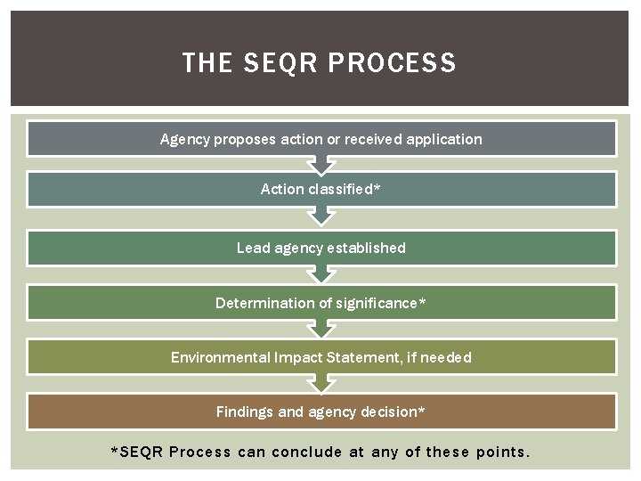 THE SEQR PROCESS Agency proposes action or received application Action classified* Lead agency established