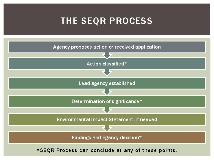 THE SEQR PROCESS Agency proposes action or received application Action classified* Lead agency established