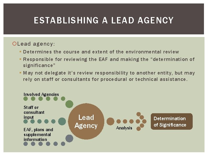 ESTABLISHING A LEAD AGENCY Lead agency: § Determines the course and extent of the