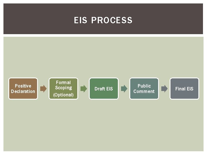 EIS PROCESS Positive Declaration Formal Scoping (Optional) Draft EIS Public Comment Final EIS 