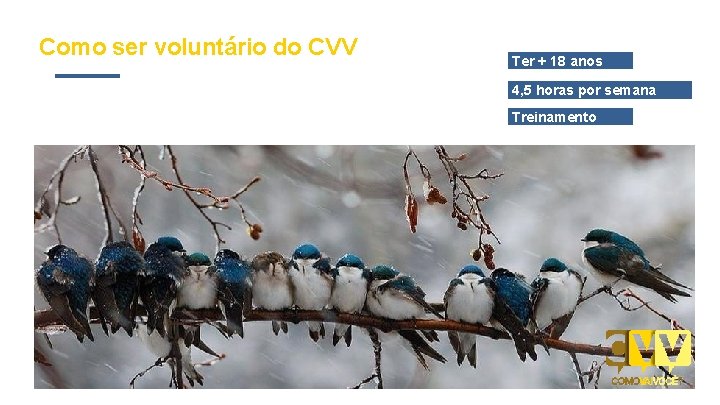 Como ser voluntário do CVV Ter + 18 anos 4, 5 horas por semana