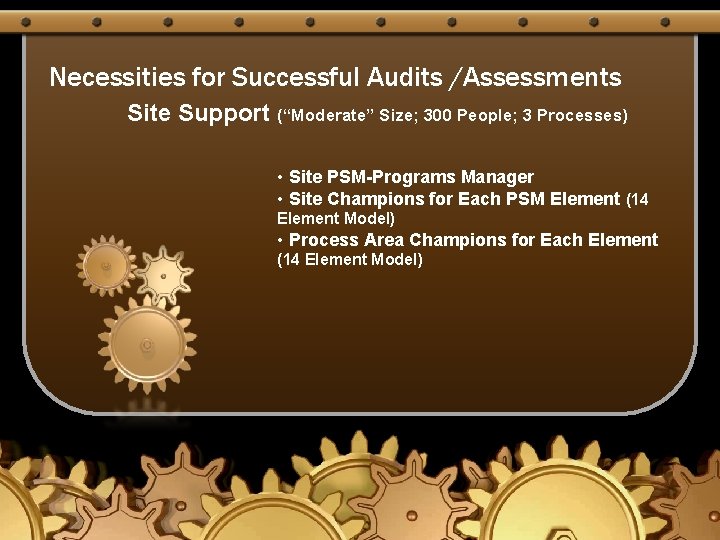Necessities for Successful Audits /Assessments Site Support (“Moderate” Size; 300 People; 3 Processes) •