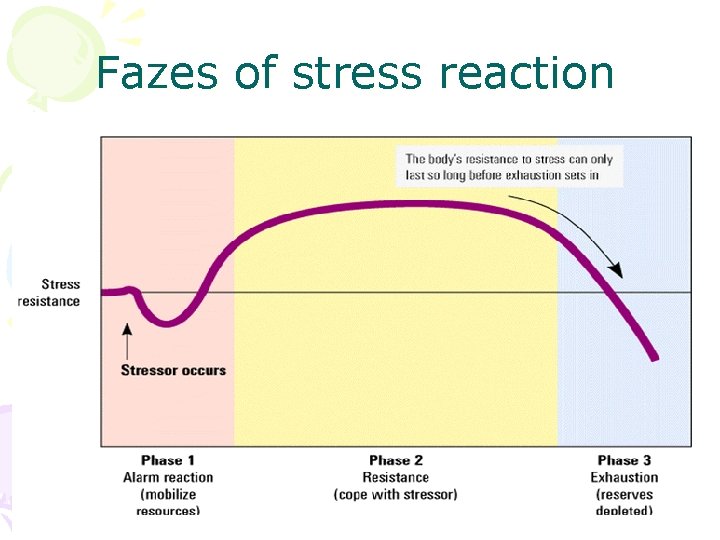 Fazes of stress reaction 