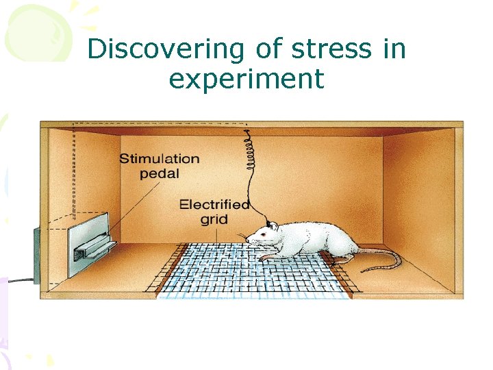 Discovering of stress in experiment 