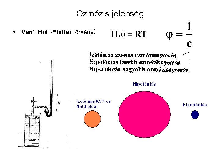 Ozmózis jelenség • Van’t Hoff-Pfeffer törvény: 