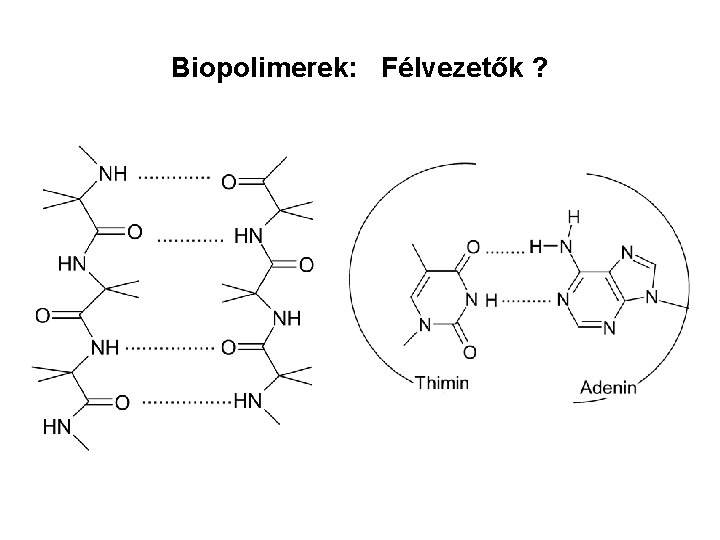 Biopolimerek: Félvezetők ? 