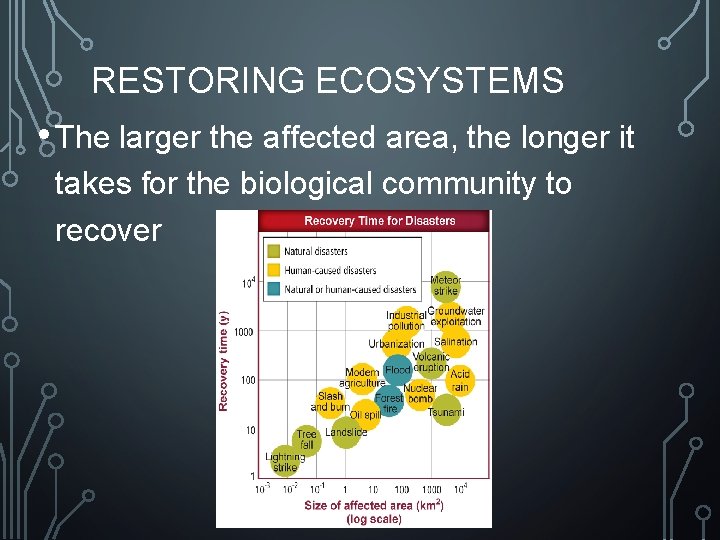 RESTORING ECOSYSTEMS • The larger the affected area, the longer it takes for the