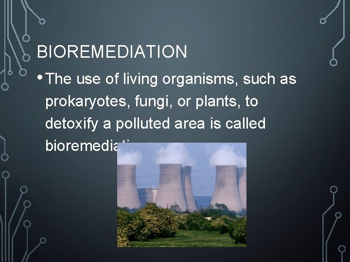 BIOREMEDIATION • The use of living organisms, such as prokaryotes, fungi, or plants, to