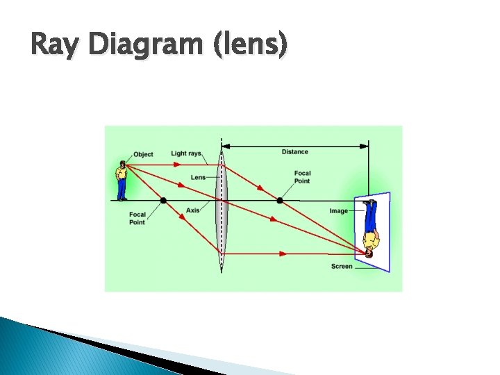 Ray Diagram (lens) 