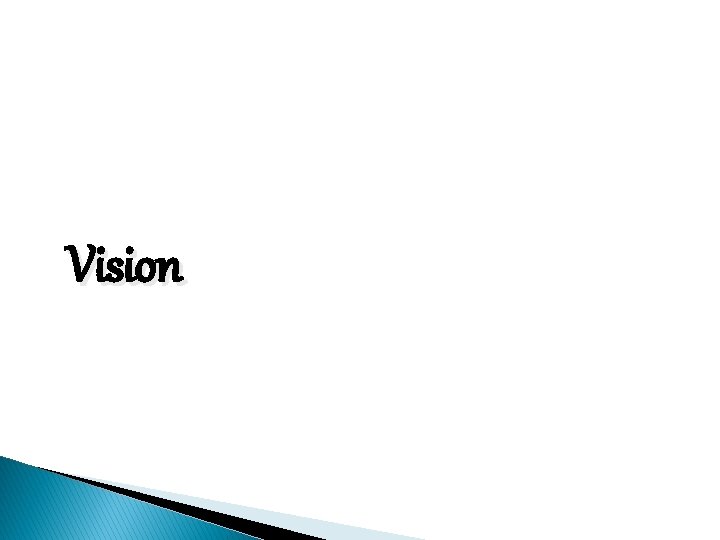 Vision 